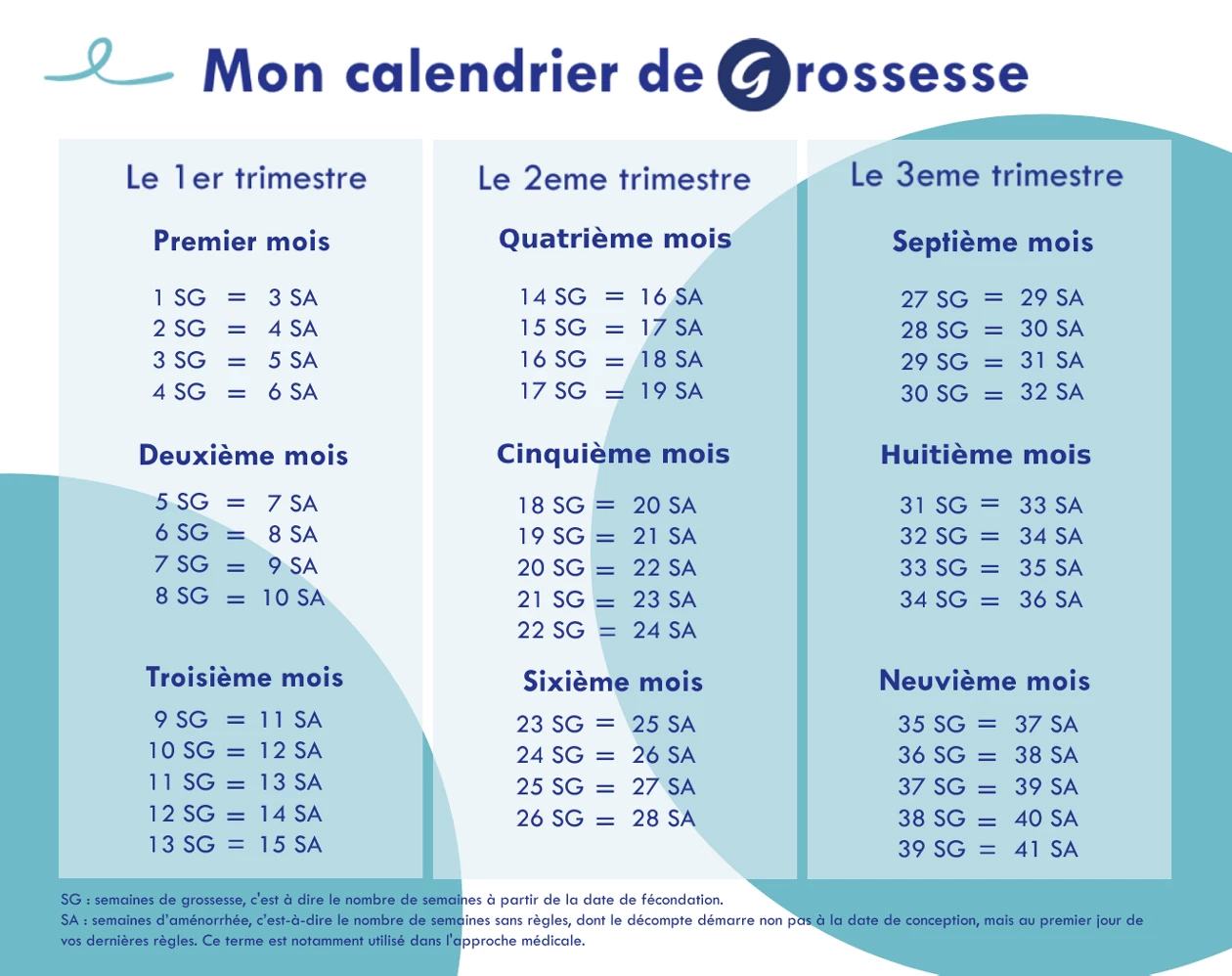 Calendrier De Grossesse Que Se Passe t il Mois Par Mois