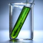 Huile d’algue : Bienfaits et Guide complet de cet Oméga-3 Vegan