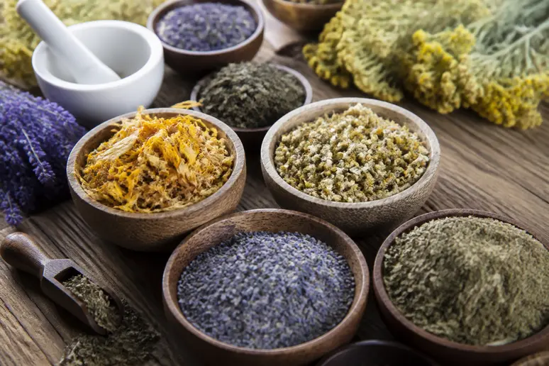Variété de plantes séchées pour le confort urinaire : un traitement naturel pour ne plus uriner la nuit